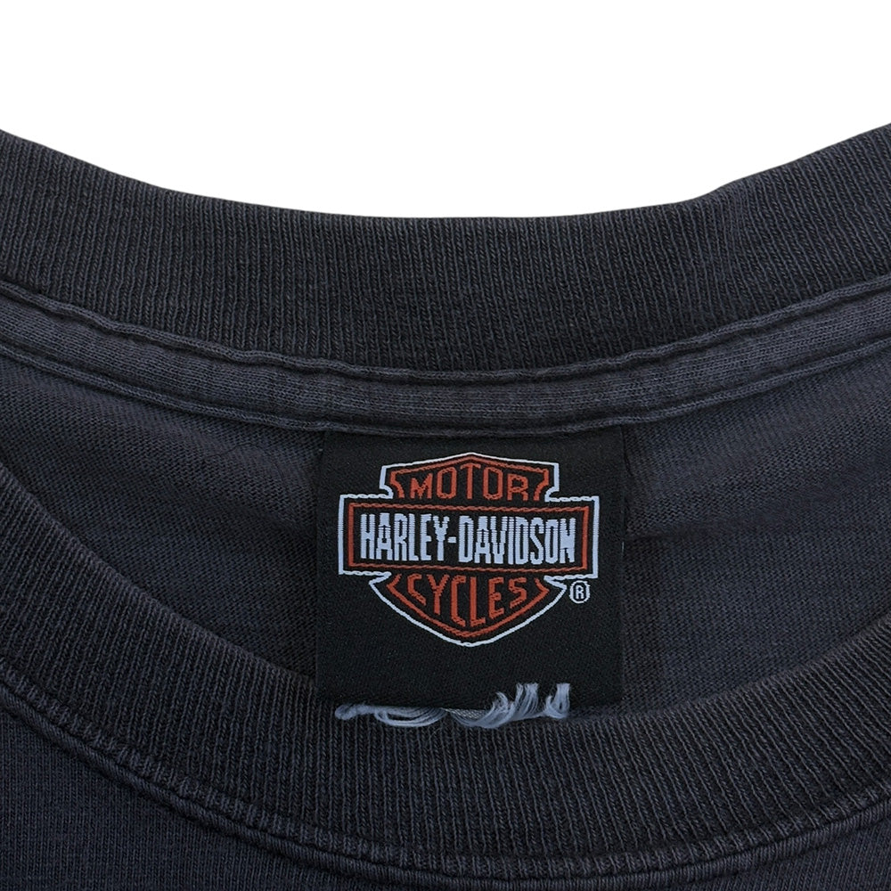 [HARLEY DAVIDSON] Harley Davidson Hanes Body T-shirt (Size L)