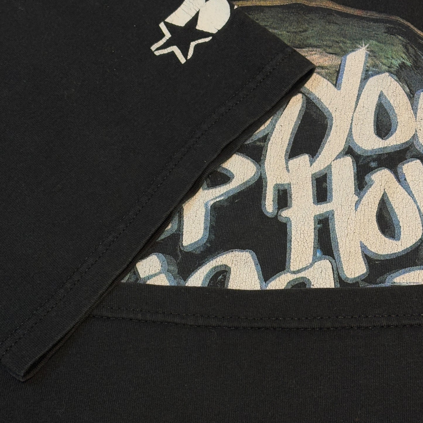 【DEF JAM】デフジャム "2000 Are you HIP HOP'S Biggest fan?" Tシャツ XL