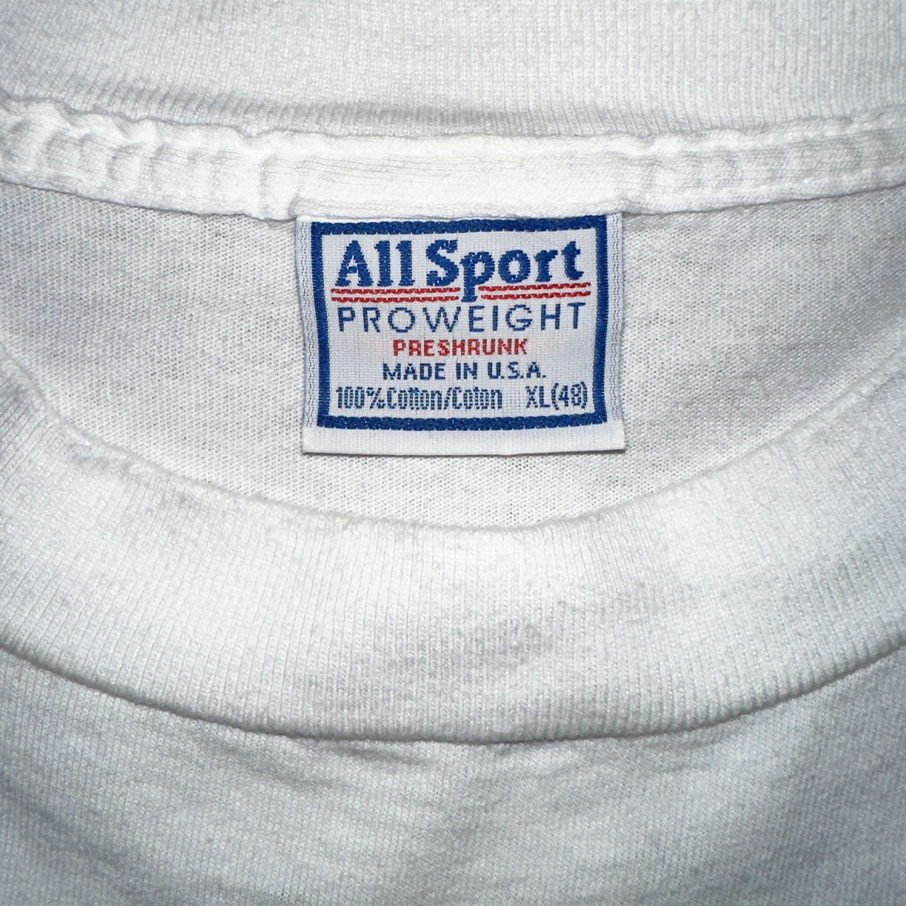 【TLC】ティーエルシー "PROTECTION IS THE PRIORITY TOUR 1992" ALLSPORTタグ Vintage Tシャツ XL