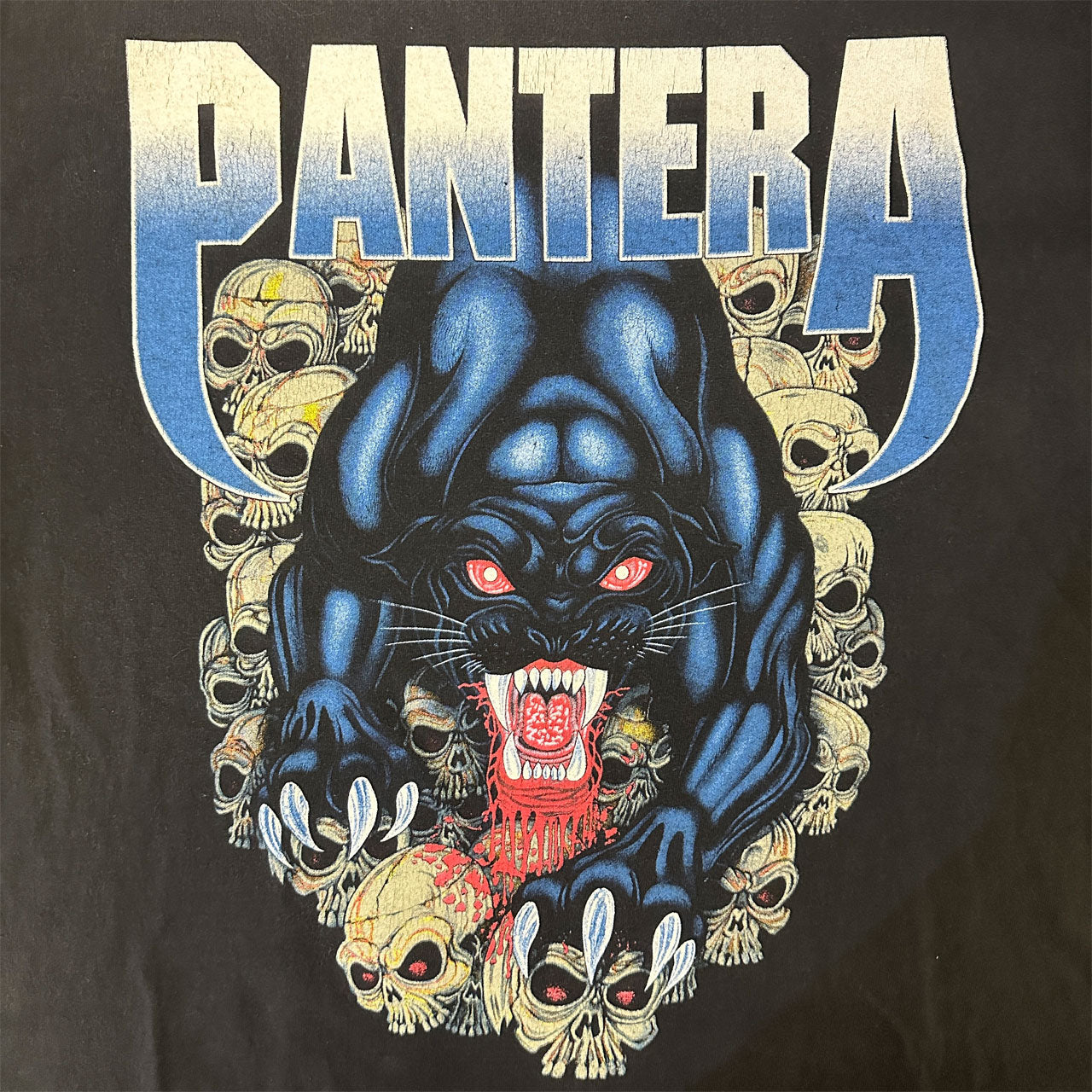 【PANTERA】パンテラ ブラックパンサー Vintage Tシャツ L相当